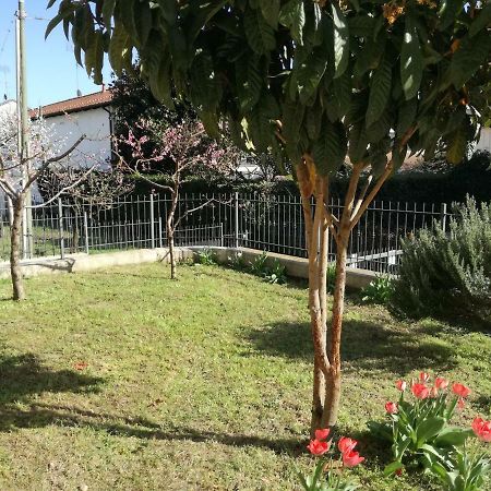 Home Di Federico Chivasso Zewnętrze zdjęcie